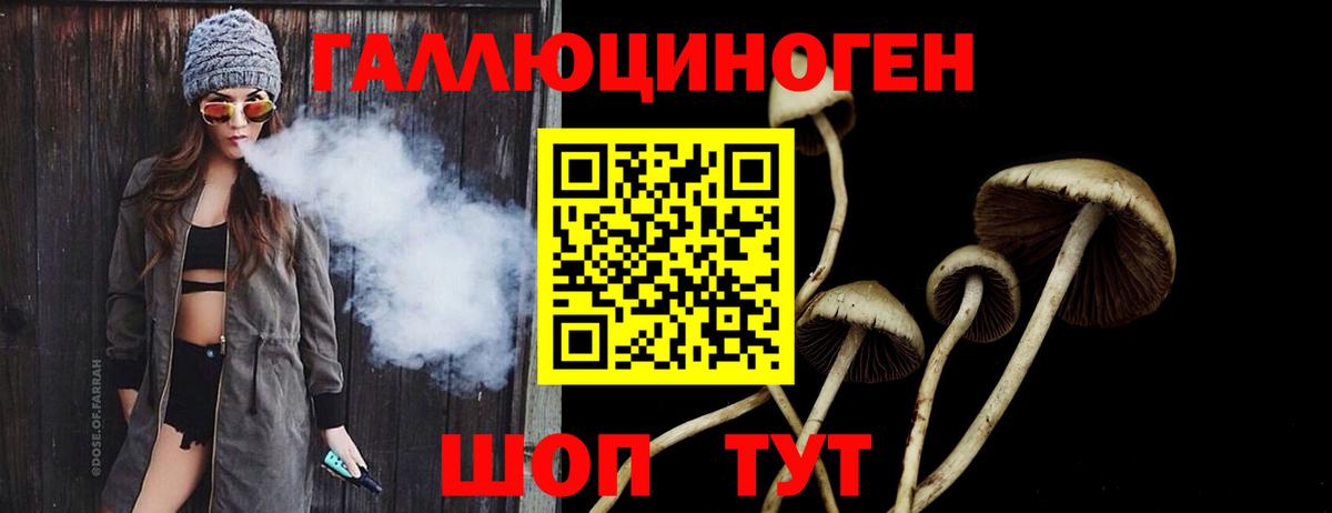 Псилоцибиновые грибы прущие грибы  Вход с VPN  Ярославль 